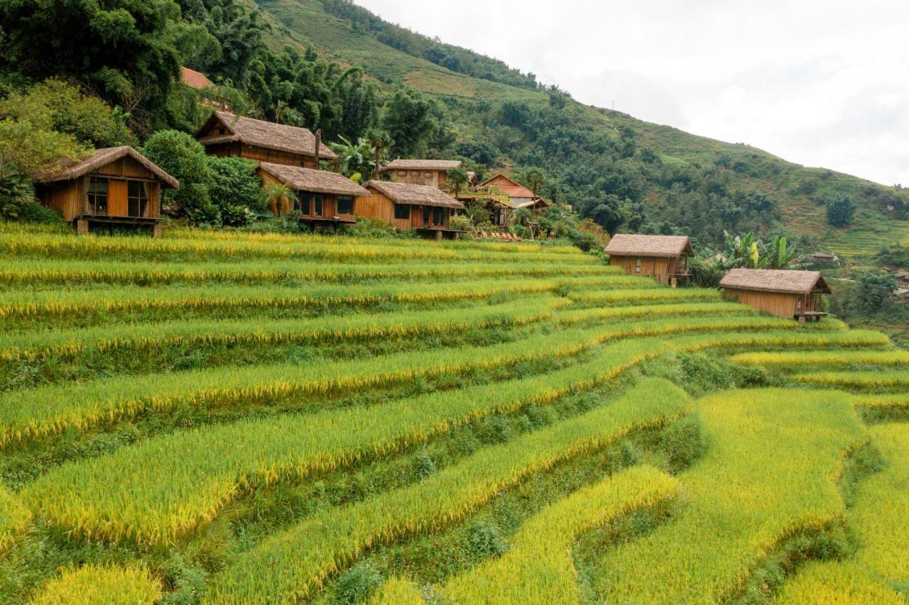 Eco Palms House - Sapa Retreat Hotell Eksteriør bilde