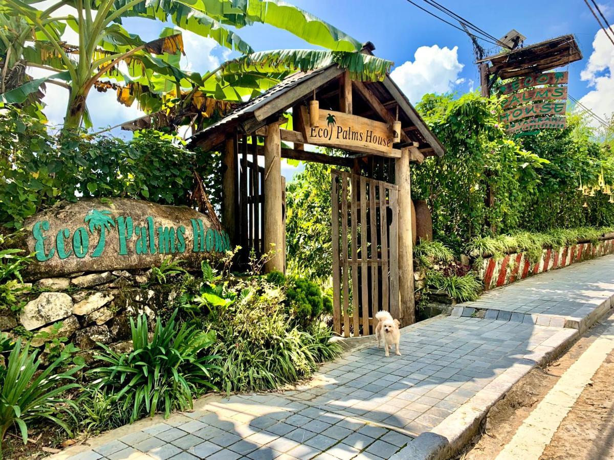 Eco Palms House - Sapa Retreat Hotell Eksteriør bilde