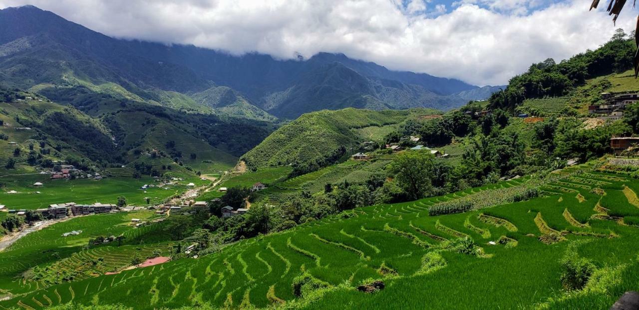 Eco Palms House - Sapa Retreat Hotell Eksteriør bilde