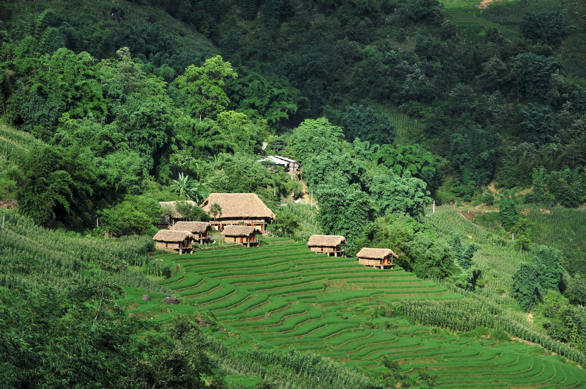 Eco Palms House - Sapa Retreat Hotell Eksteriør bilde