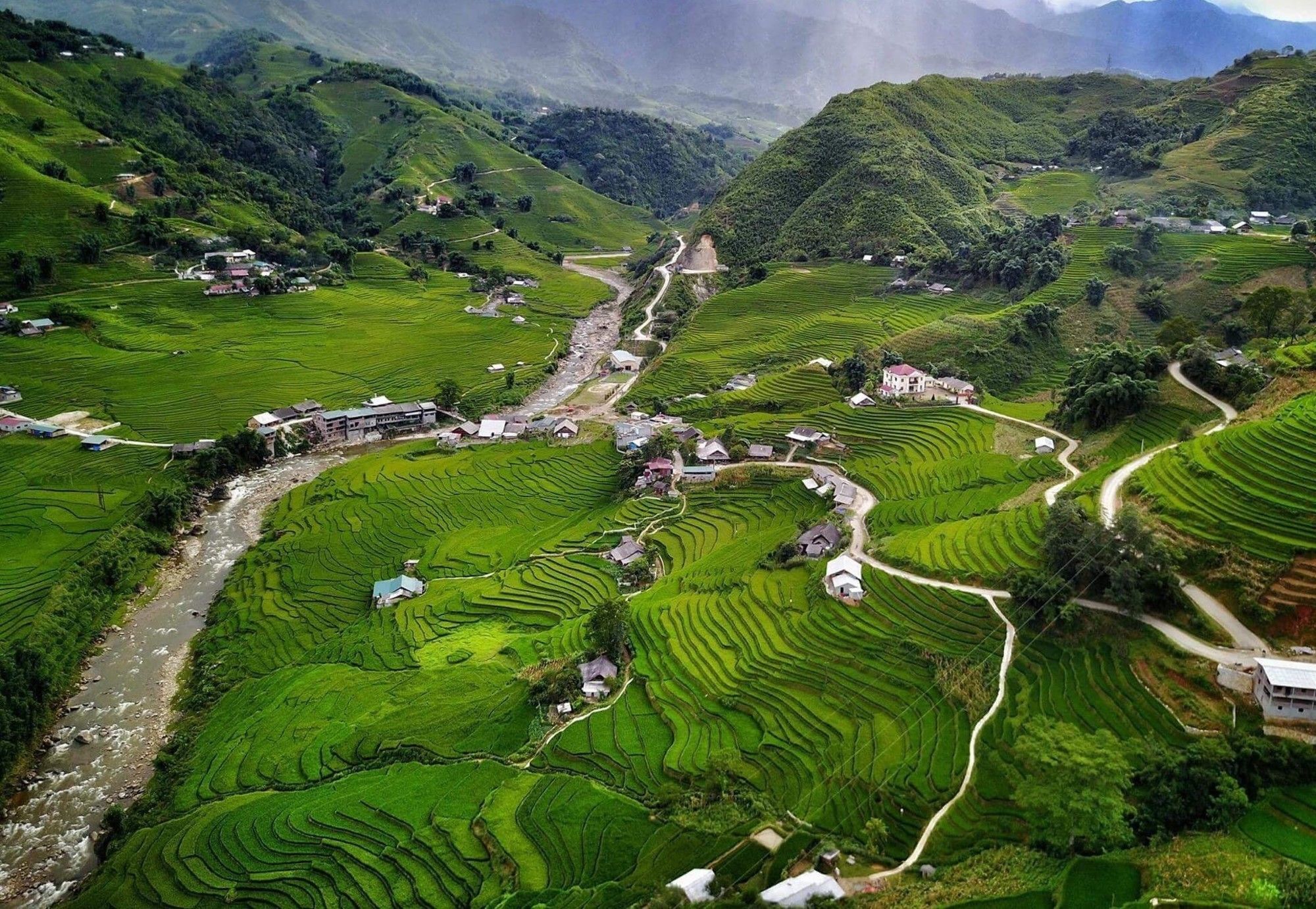 Eco Palms House - Sapa Retreat Hotell Eksteriør bilde